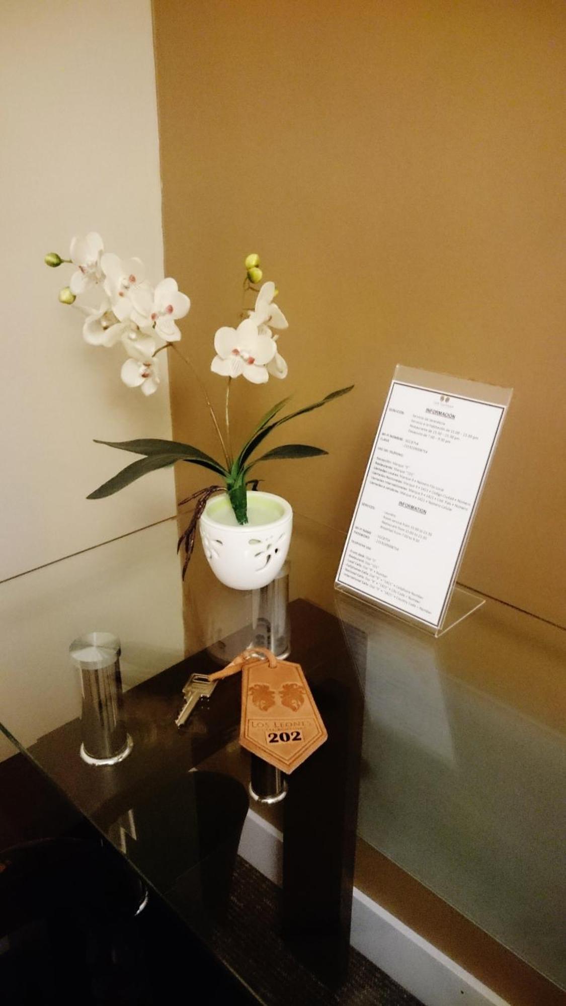 Los Leones Hotel Boutique Yanahuara ห้อง รูปภาพ